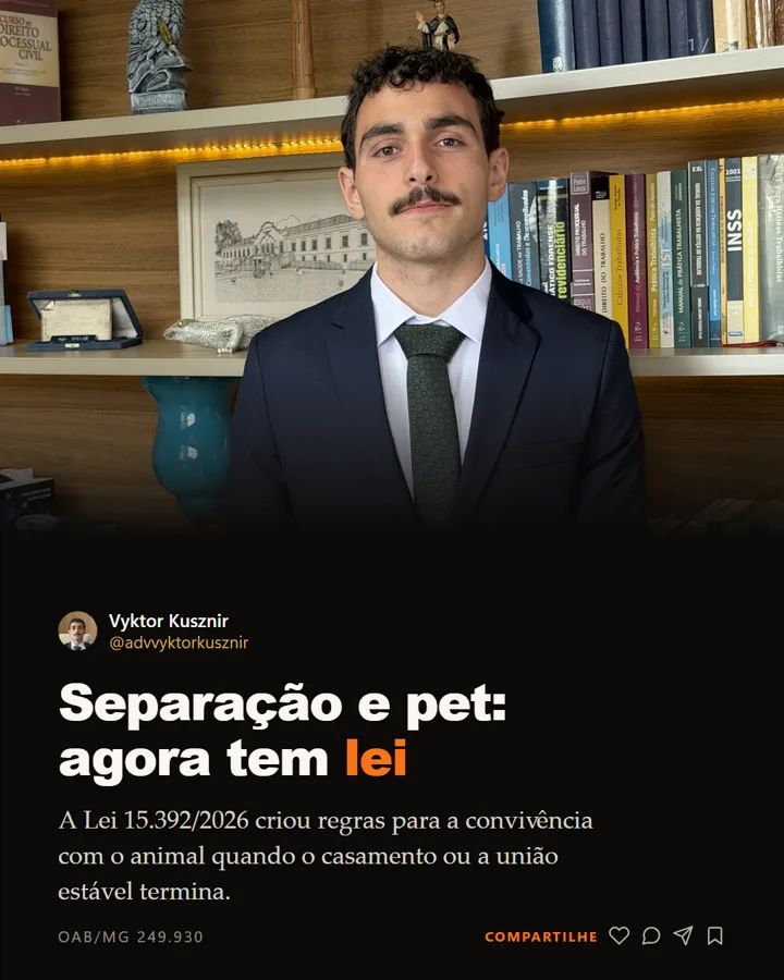 Capa de carrossel: separação e pet