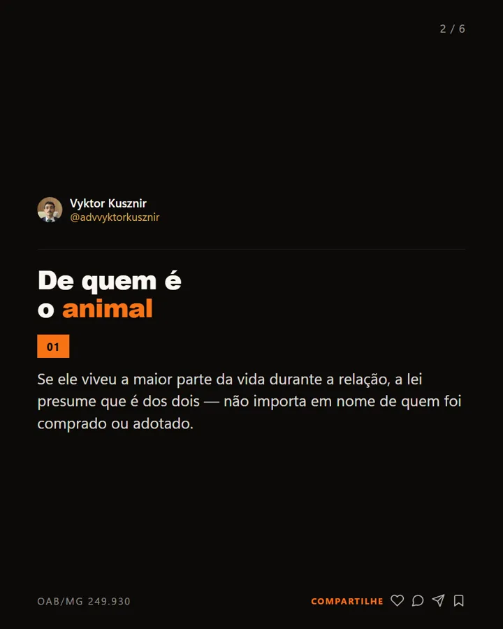 Segundo slide do carrossel sobre separação e pet